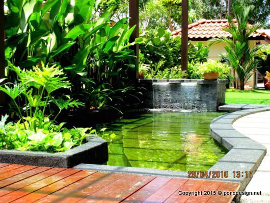 Fish Pond with Natural Landscaping