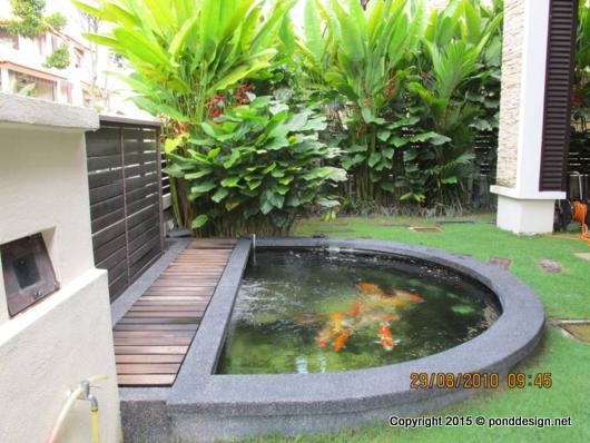 Koi Pond Design for Your Home